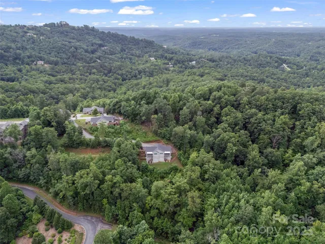 a view of a city with lush green forest