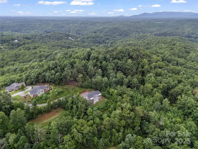 a view of a field with a tree