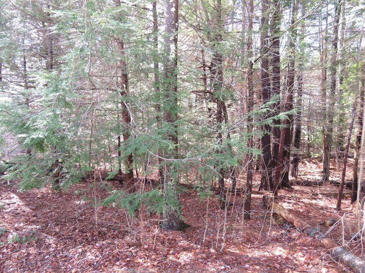 47 Fogg Road Epping, NH 03042 - Photo 30 of 32