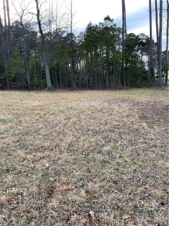 Lot 1 Neumans Road Heathsville, VA 22473 - Photo 4 of 11