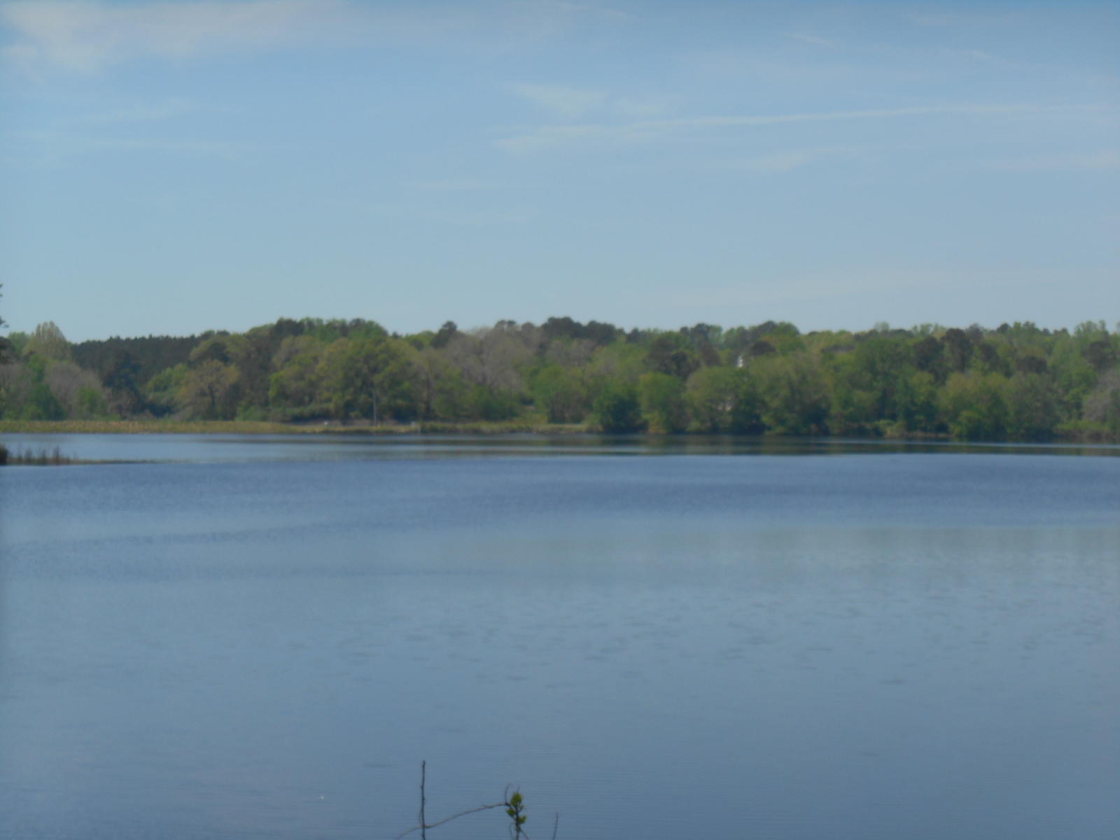 134 Smith Jones Road Rockingham, NC 28379 - Photo 29 of 30 Backyard View in April