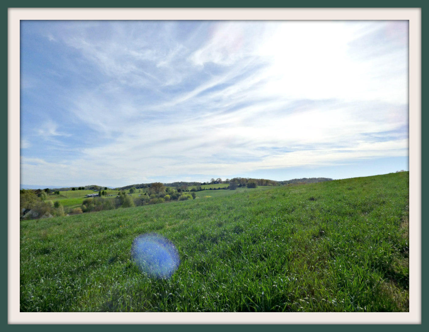 Lot 5 Falcon Road White Pine, TN 37890 - Photo 18 of 24 P1040470f