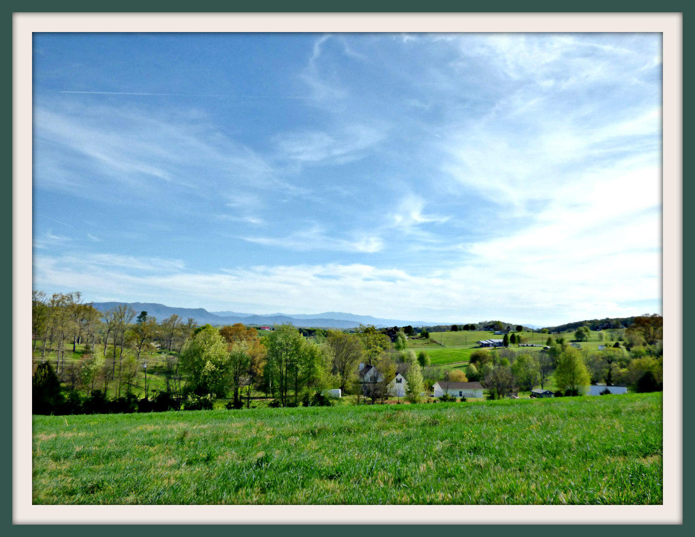 Lot 5 Falcon Road White Pine, TN 37890 - Photo 20 of 24 P1040472f