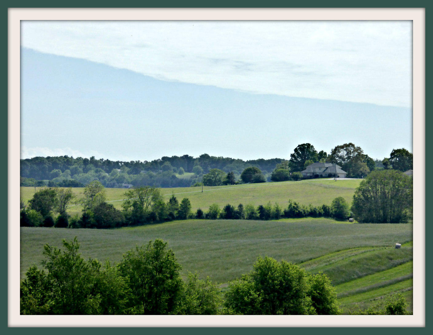 Lot 5 Falcon Road White Pine, TN 37890 - Photo 3 of 24 P1030376F