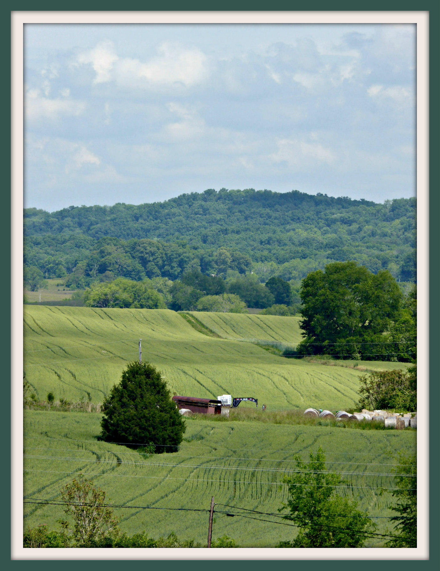Lot 5 Falcon Road White Pine, TN 37890 - Photo 4 of 24 P1030377F