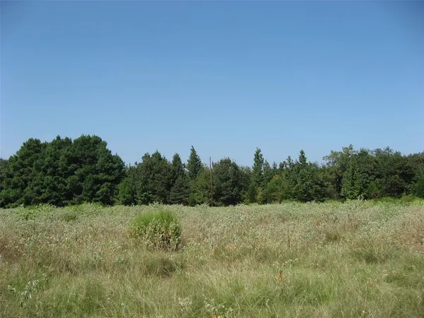 $165,000 | 28901 County Road 2100, Kemp, TX 75143