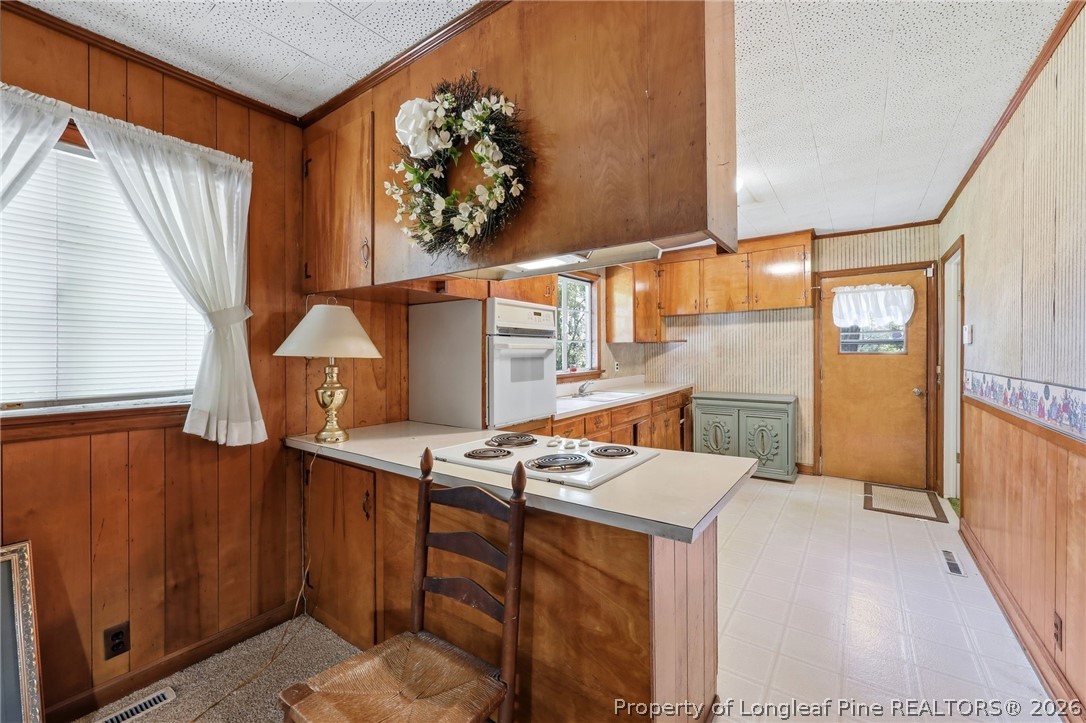 3993 McArthur Road Broadway, NC 27505 - Photo 11 of 50