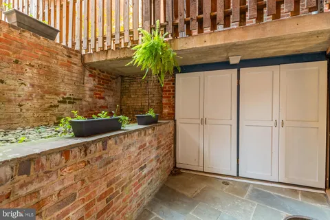 a view of a potted plants on the wall