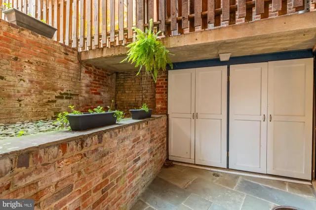 a view of a potted plants on the wall