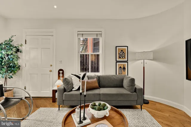 a living room with furniture and a potted plant