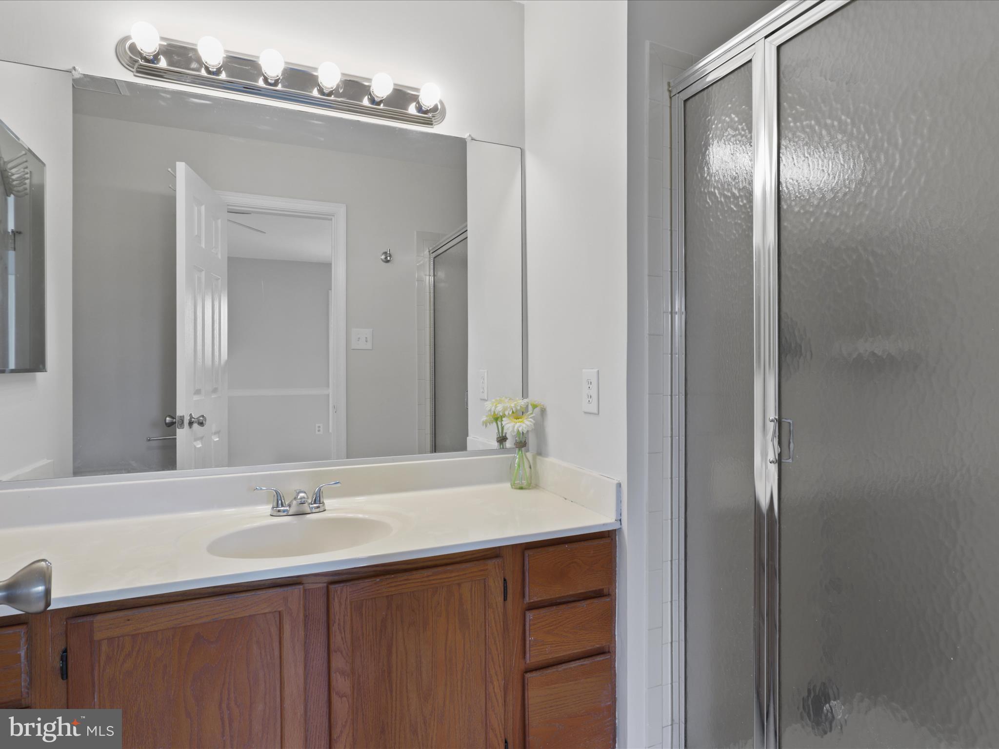 7359 St Thomas Loop Manassas, VA 20109 - Photo 22 of 46 Primary bathroom