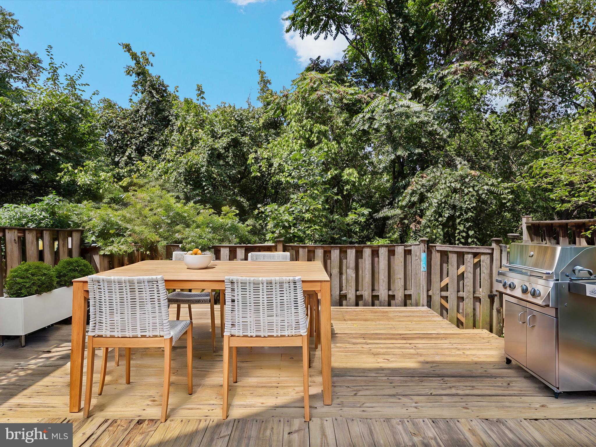 7359 St Thomas Loop Manassas, VA 20109 - Photo 39 of 46 Private deck