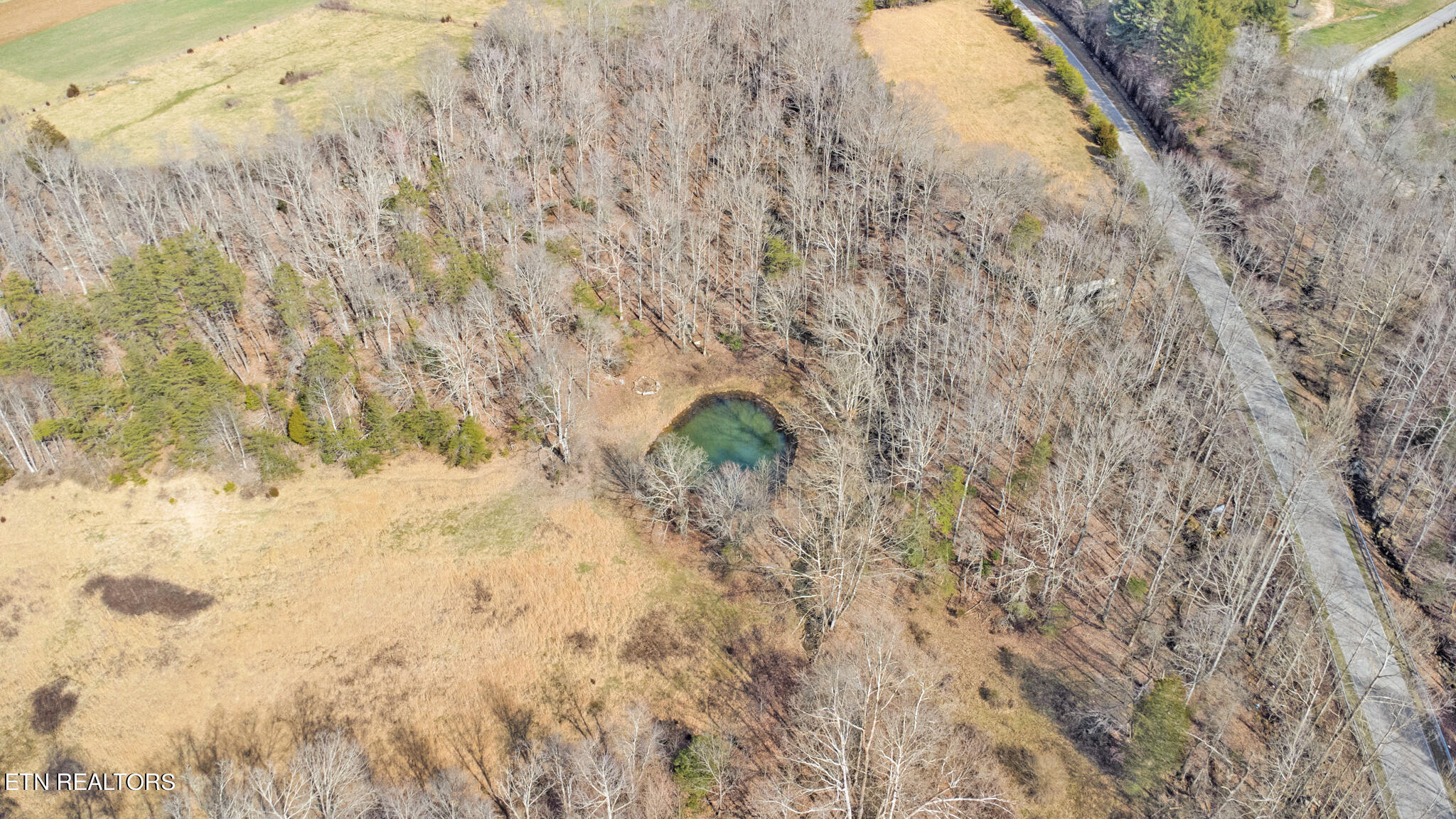 2130 Martha Washington Road Clarkrange, TN 38553 - Photo 5 of 60 dji_0481-dji_0483