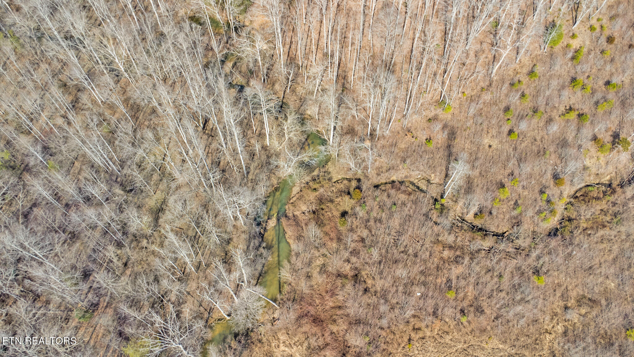 2130 Martha Washington Road Clarkrange, TN 38553 - Photo 6 of 60 dji_0487-dji_0489