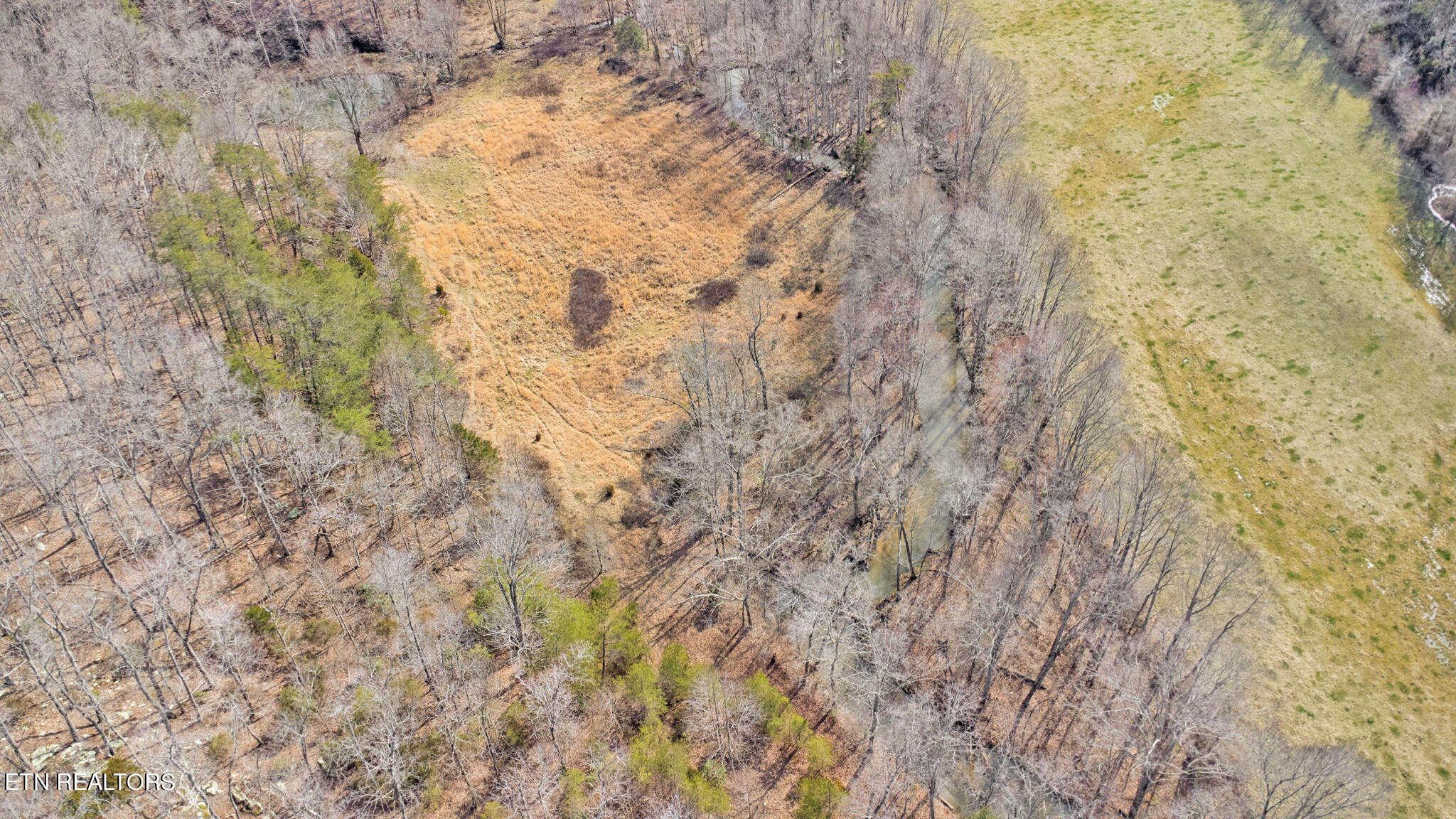 2130 Martha Washington Road Clarkrange, TN 38553 - Photo 8 of 60 dji_0493-dji_0495