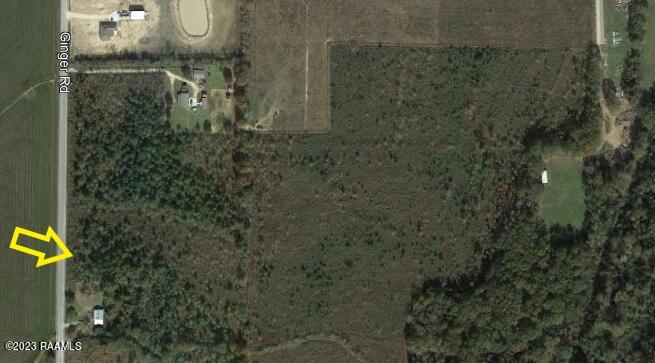 Ginger Road Iota, LA 70543 - Photo 3 of 4 Ginger Road-17-2.JPG