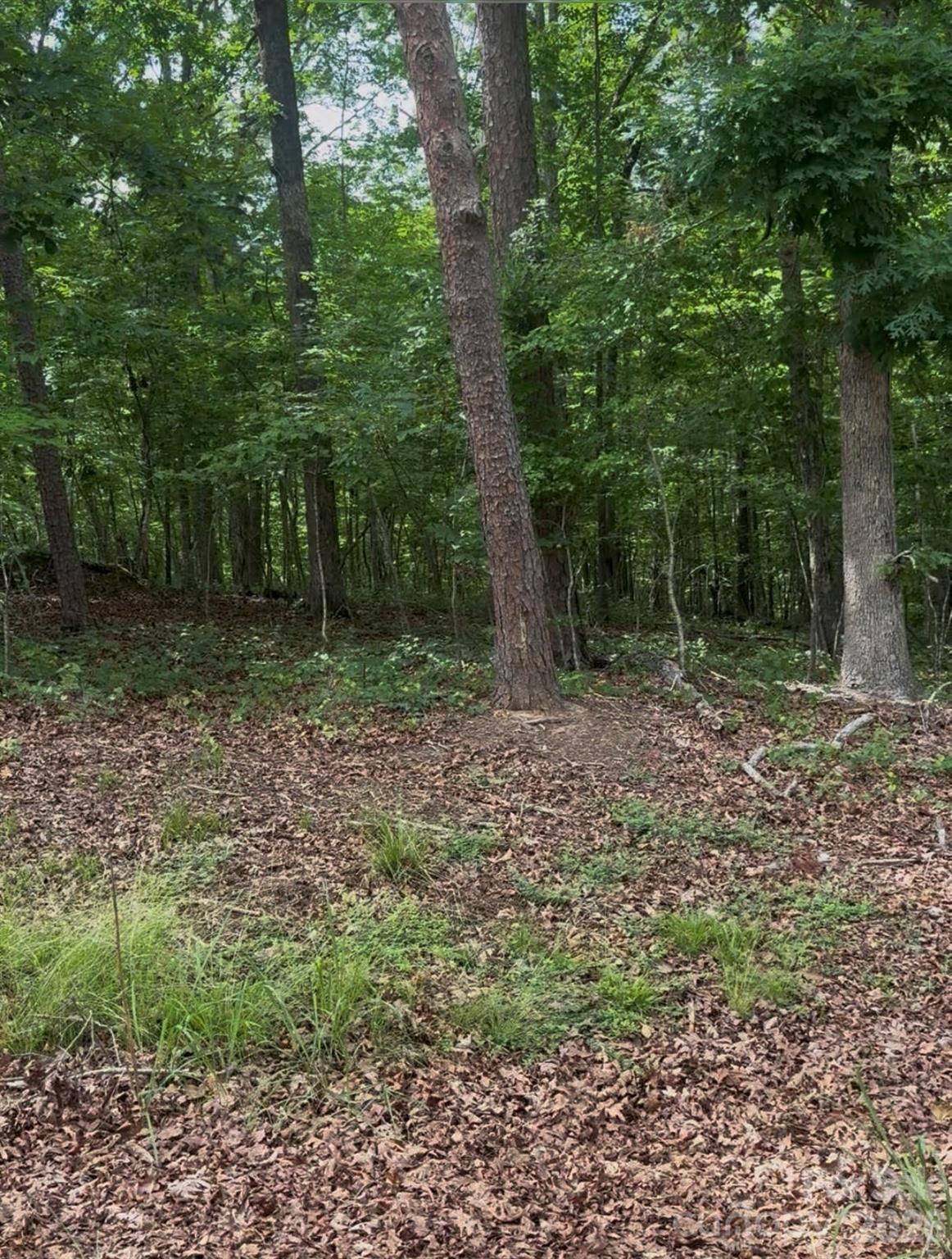0 Oak Road Norwood, NC 28128 - Photo 2 of 2