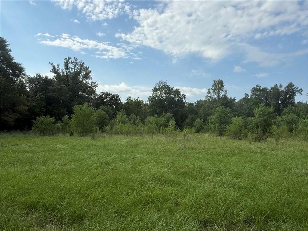 0 Paul Road Deville, LA 71328 - Photo 2 of 5