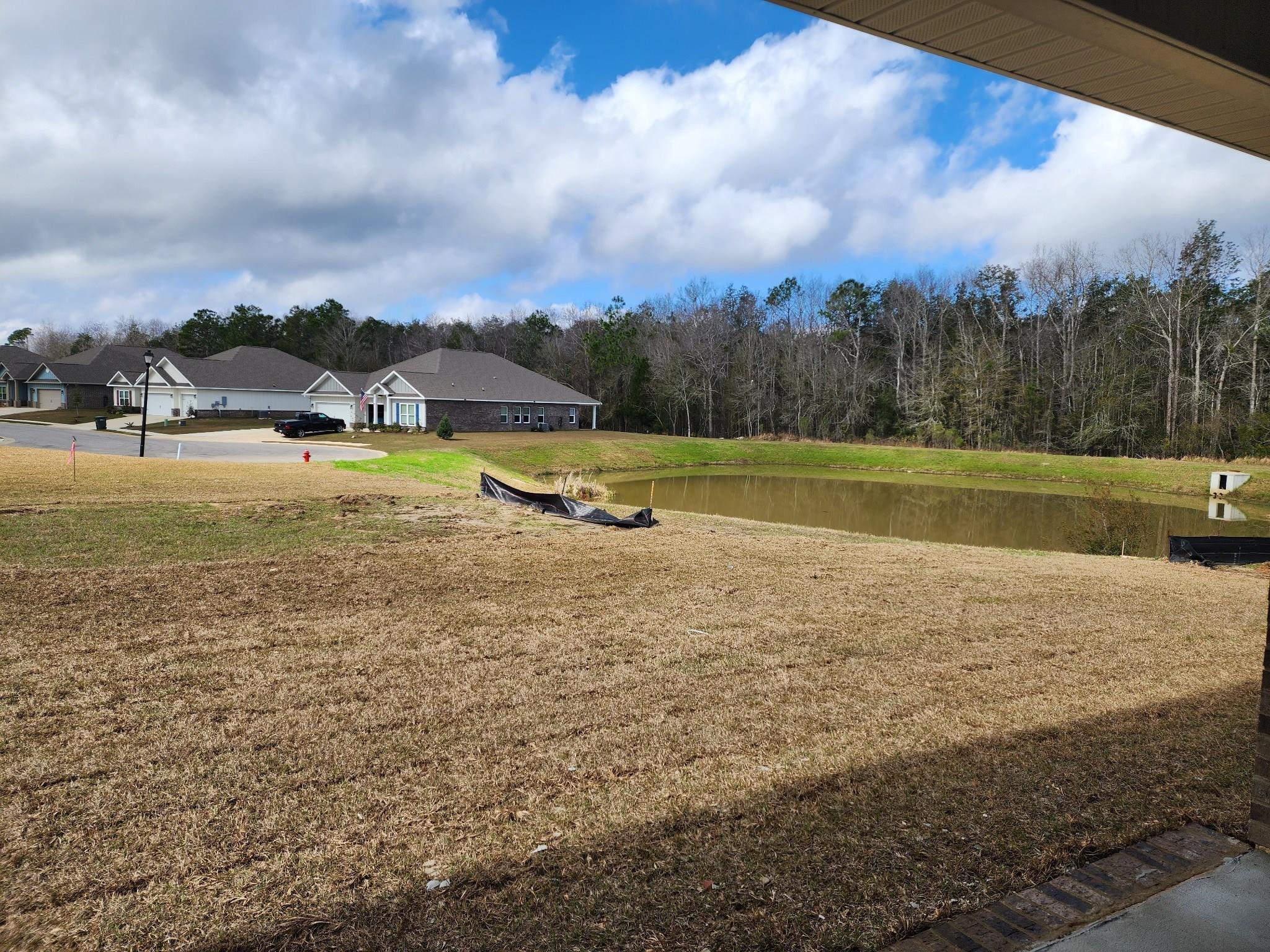 8793 Calverton Street Foley, AL 36535 - Photo 6 of 11 back yard view