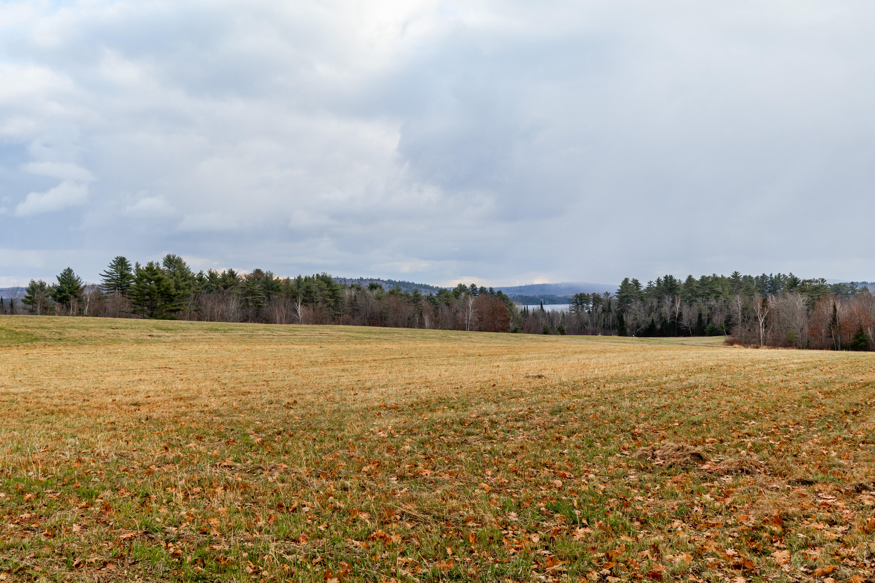 41 South Merrill Road Harmony, ME 04942 - Photo 106 of 113 20251114-81179