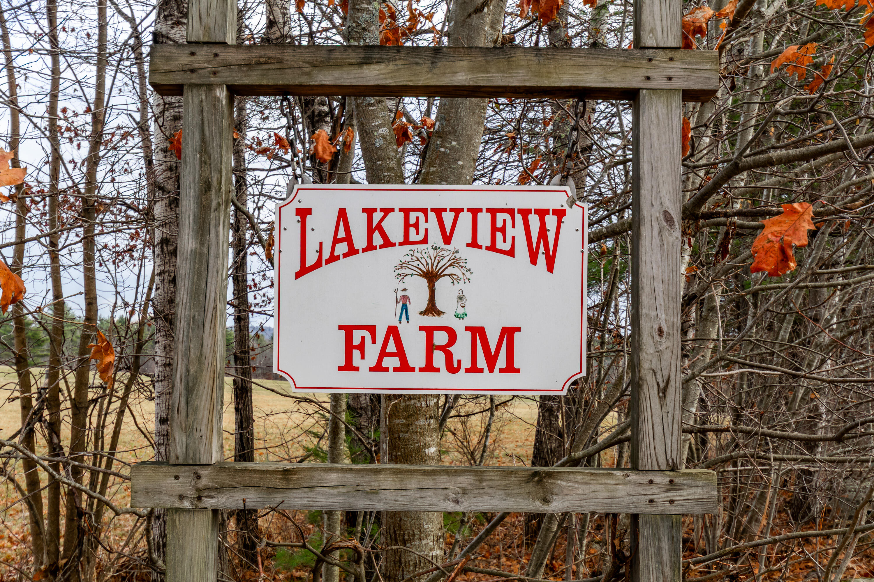 41 South Merrill Road Harmony, ME 04942 - Photo 2 of 113 20251114-81184