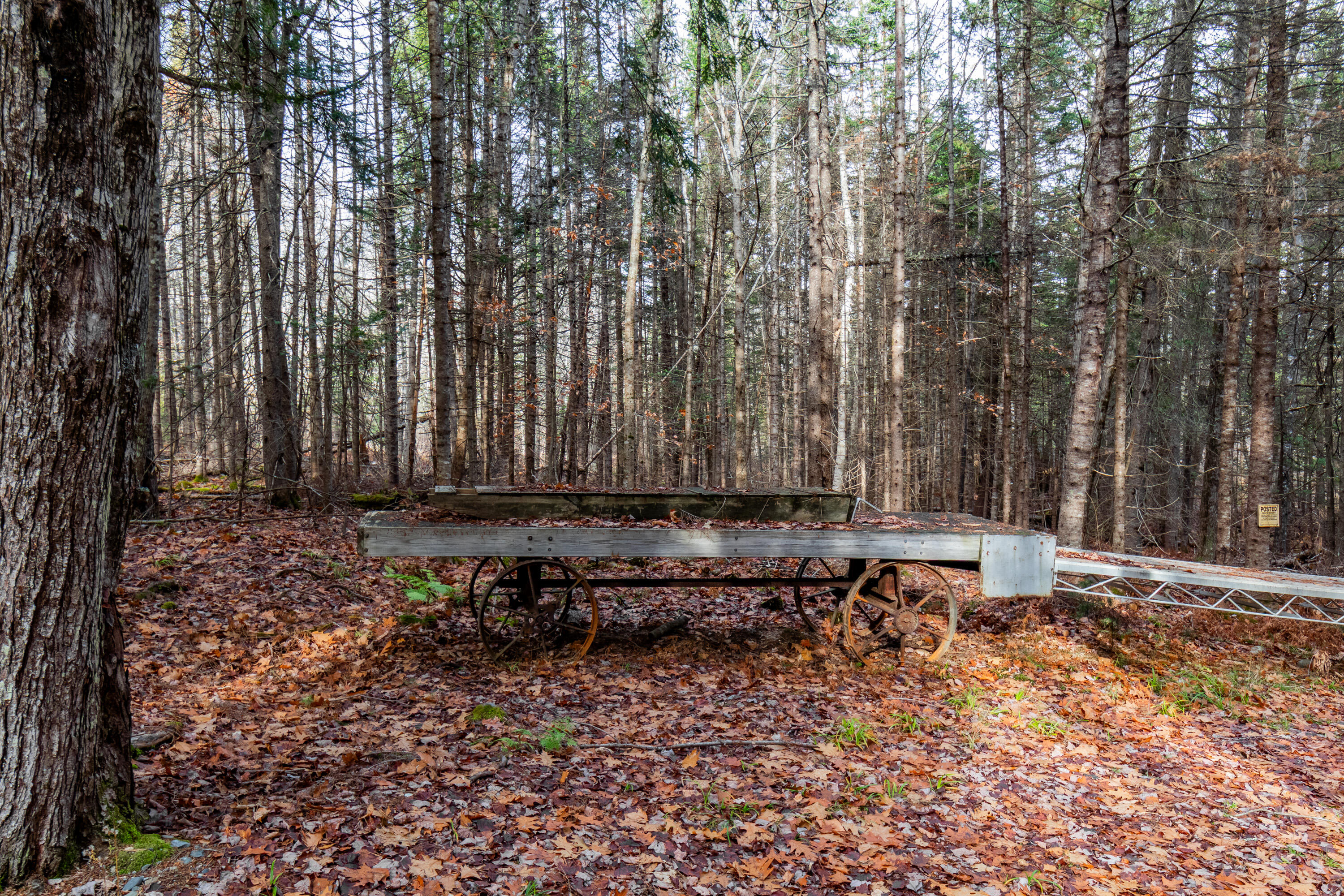 41 South Merrill Road Harmony, ME 04942 - Photo 60 of 113 20251114-81106
