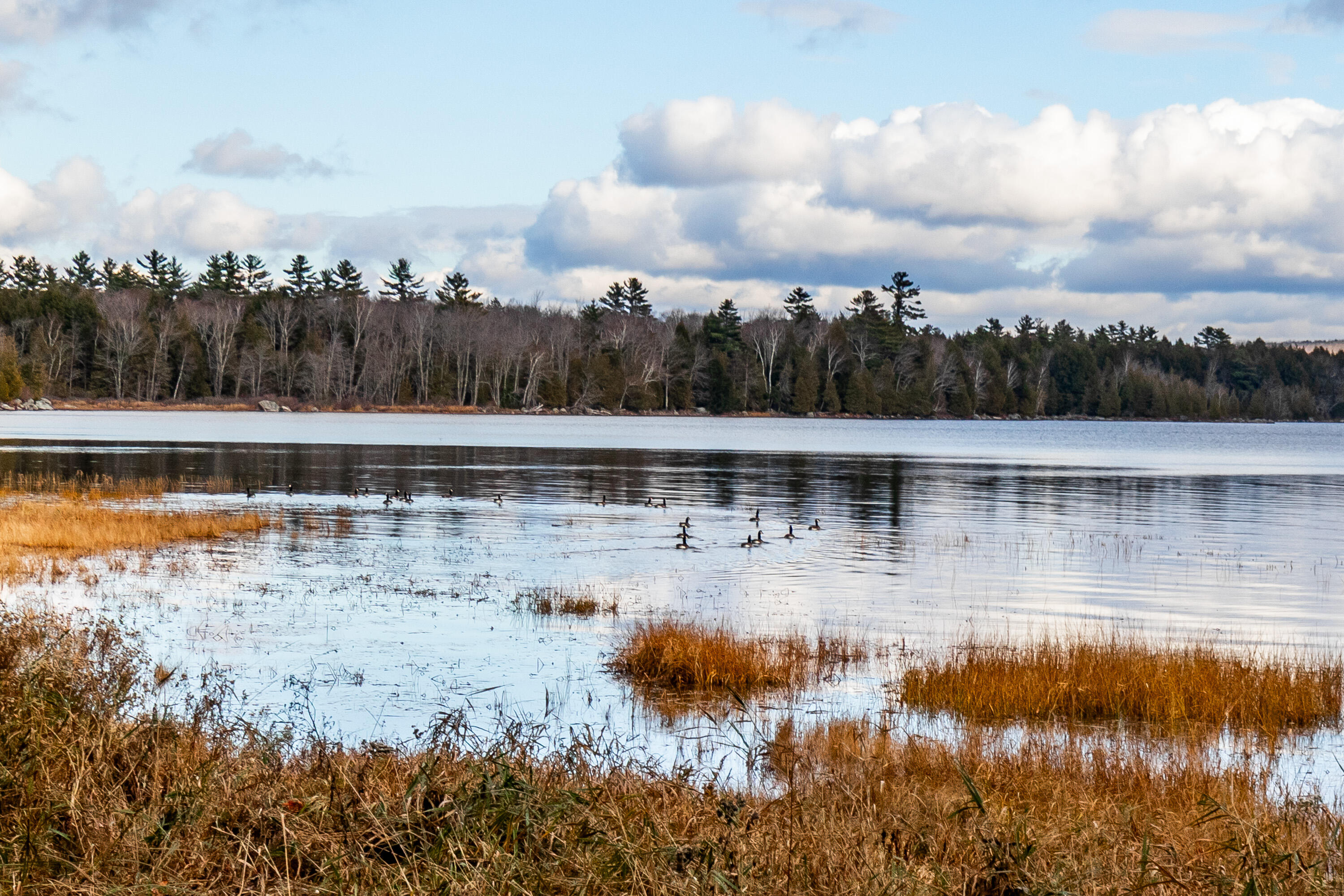 41 South Merrill Road Harmony, ME 04942 - Photo 62 of 113 20251114-81108