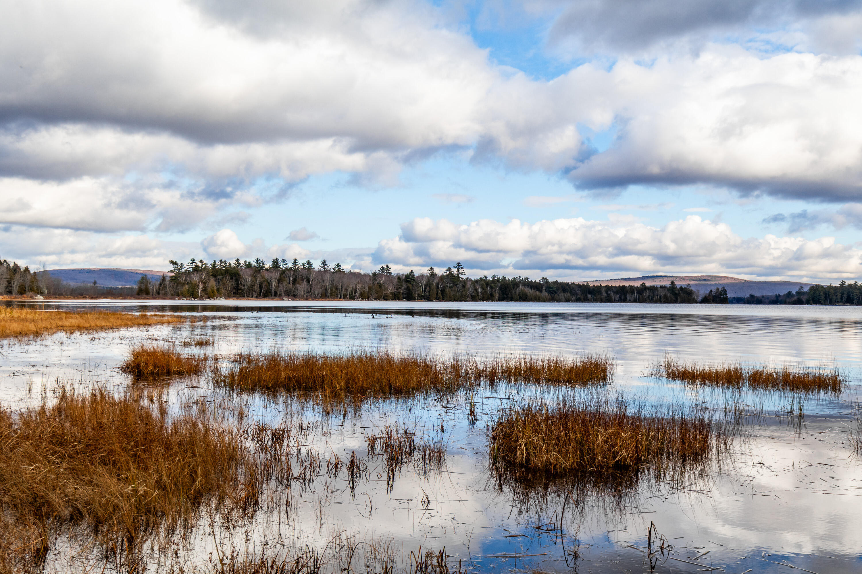 41 South Merrill Road Harmony, ME 04942 - Photo 63 of 113 20251114-81109