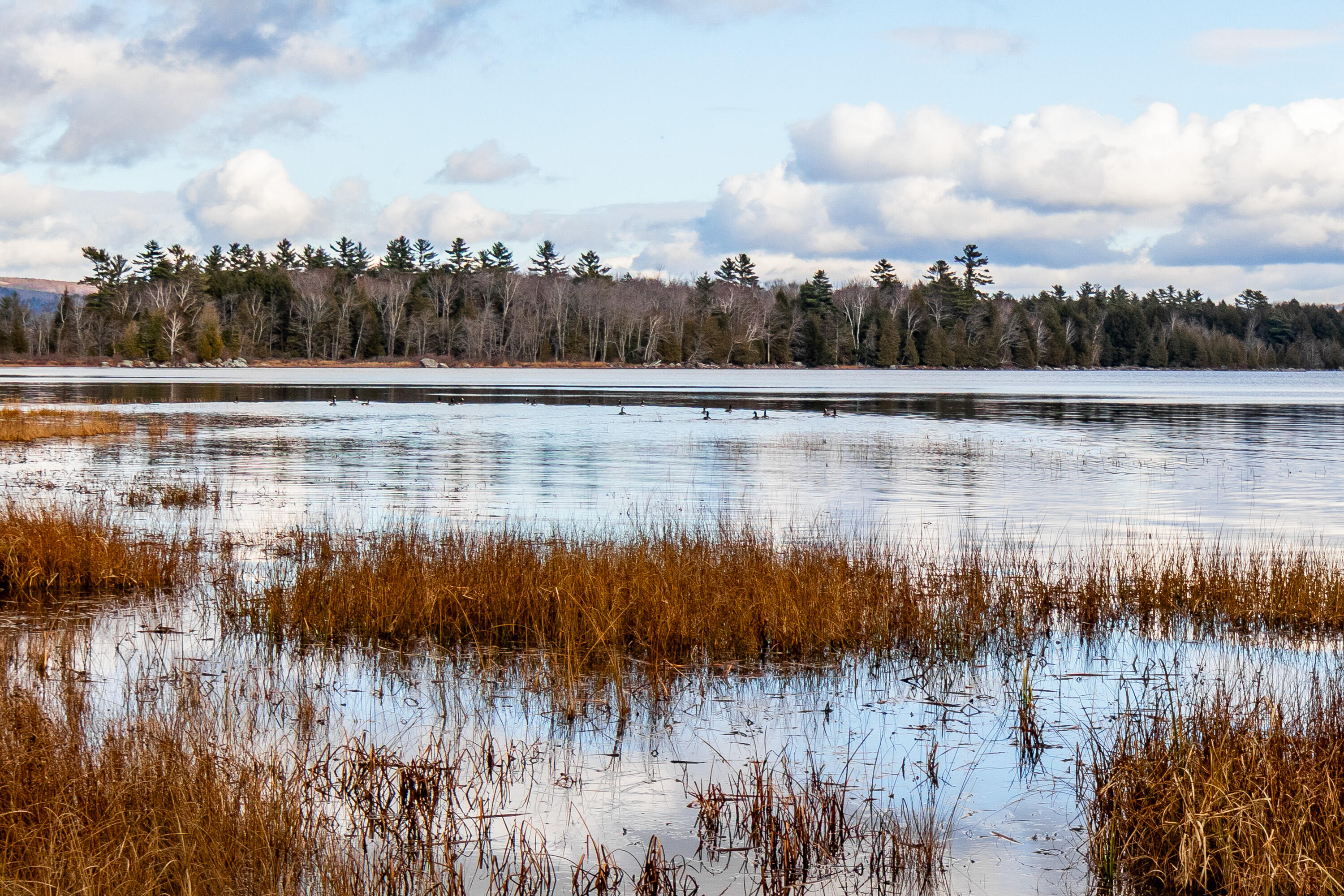 41 South Merrill Road Harmony, ME 04942 - Photo 64 of 113 20251114-81110