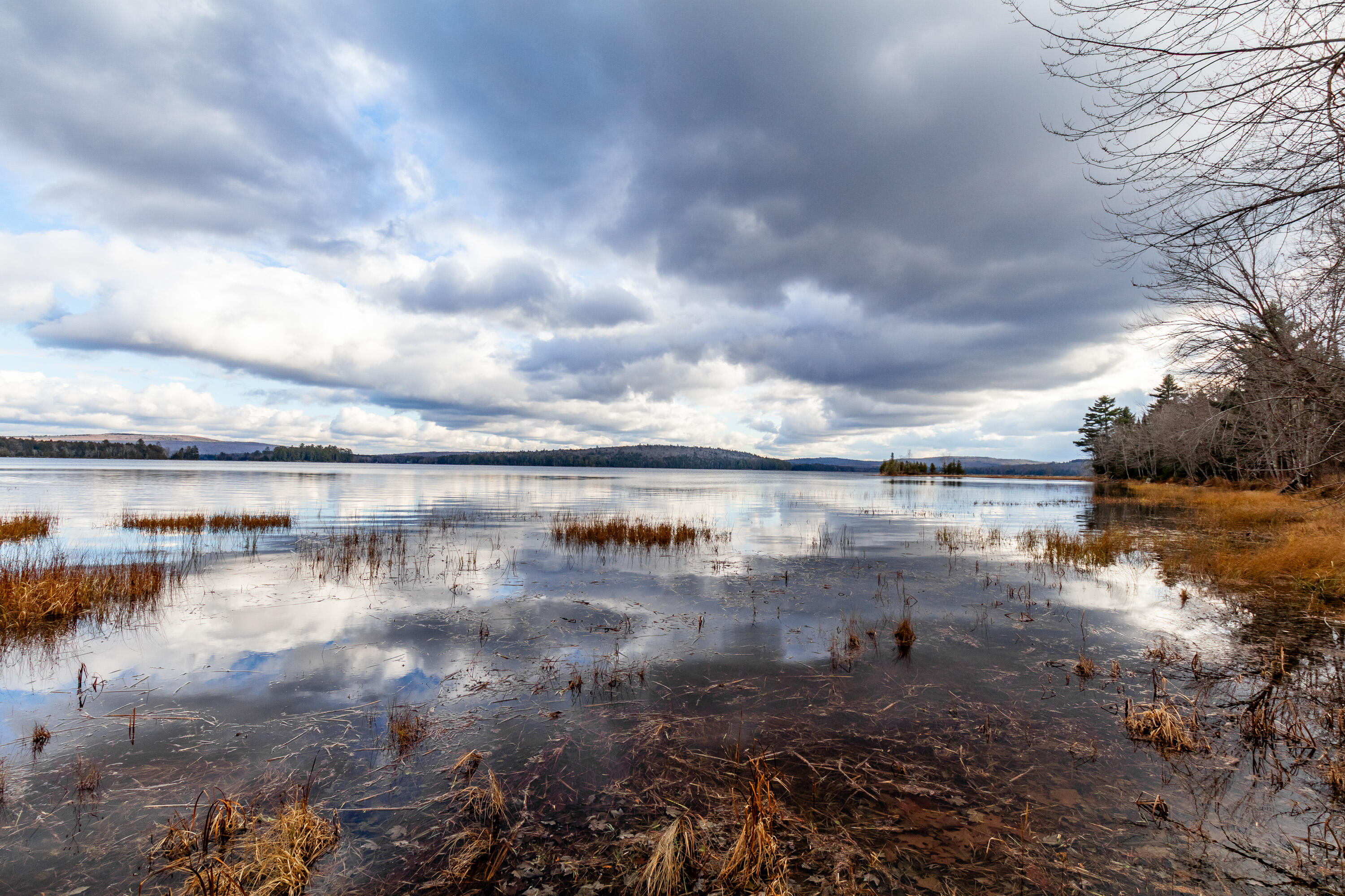 41 South Merrill Road Harmony, ME 04942 - Photo 67 of 113 20251114-81113