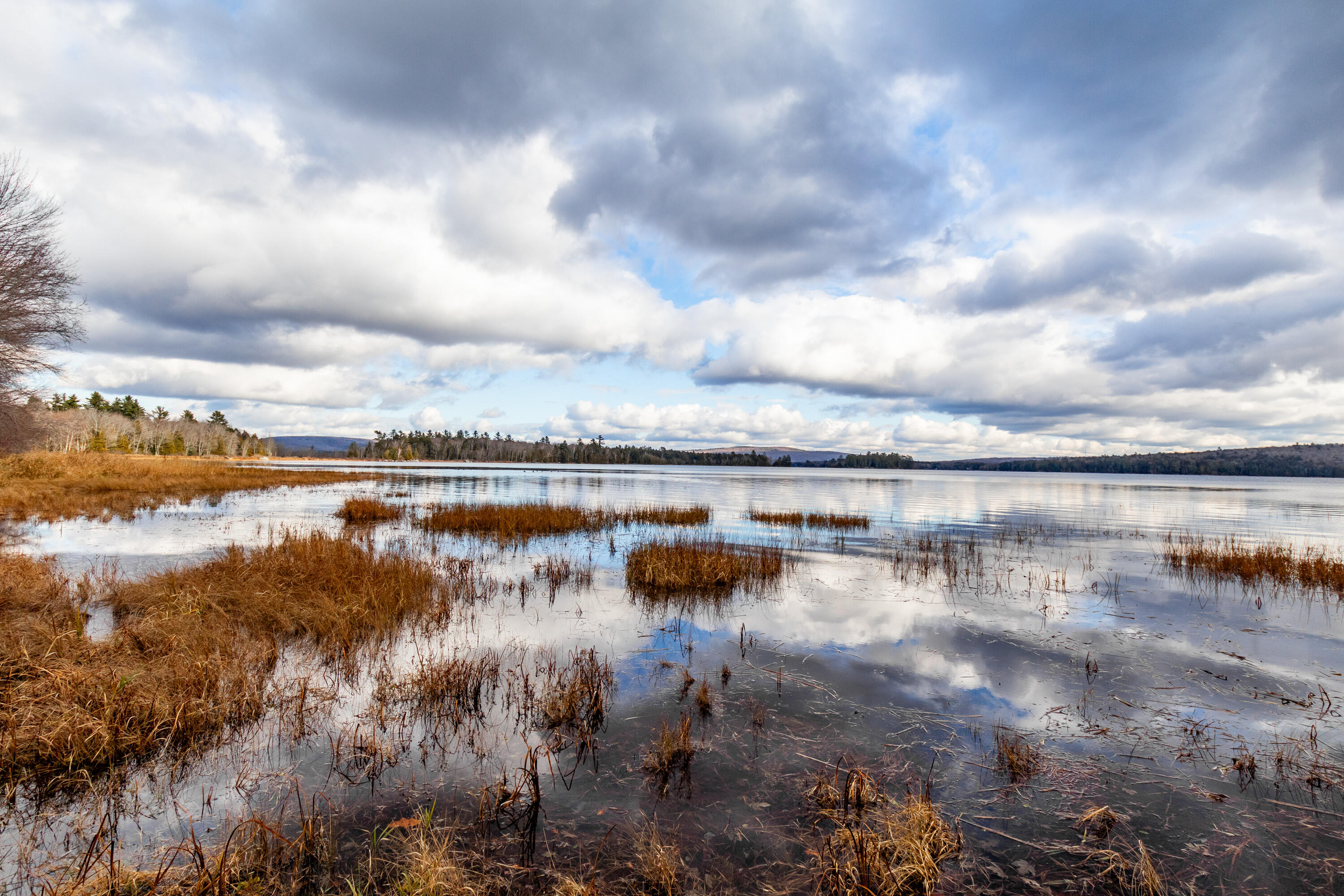 41 South Merrill Road Harmony, ME 04942 - Photo 69 of 113 20251114-81115