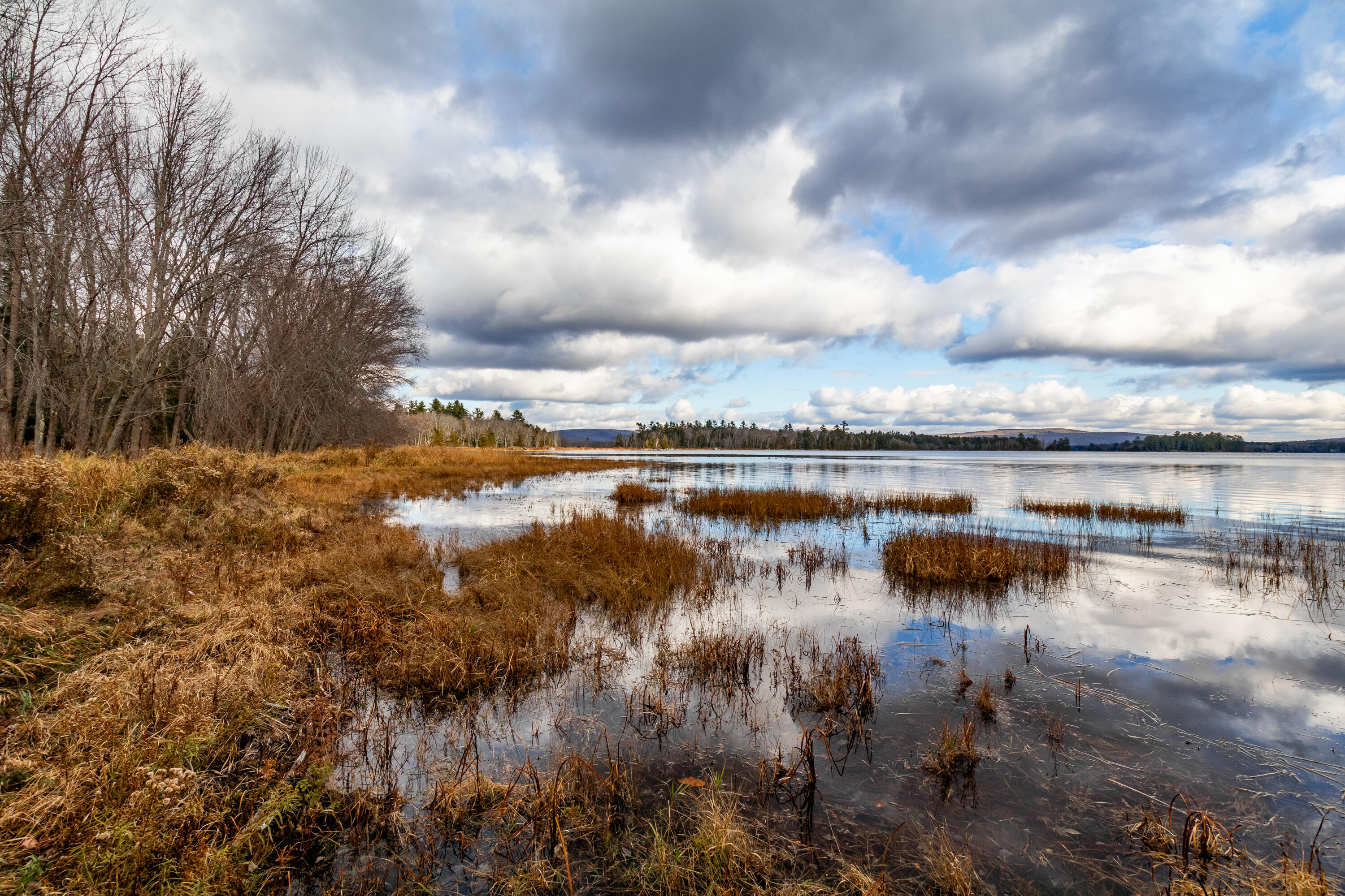 41 South Merrill Road Harmony, ME 04942 - Photo 70 of 113 20251114-81116