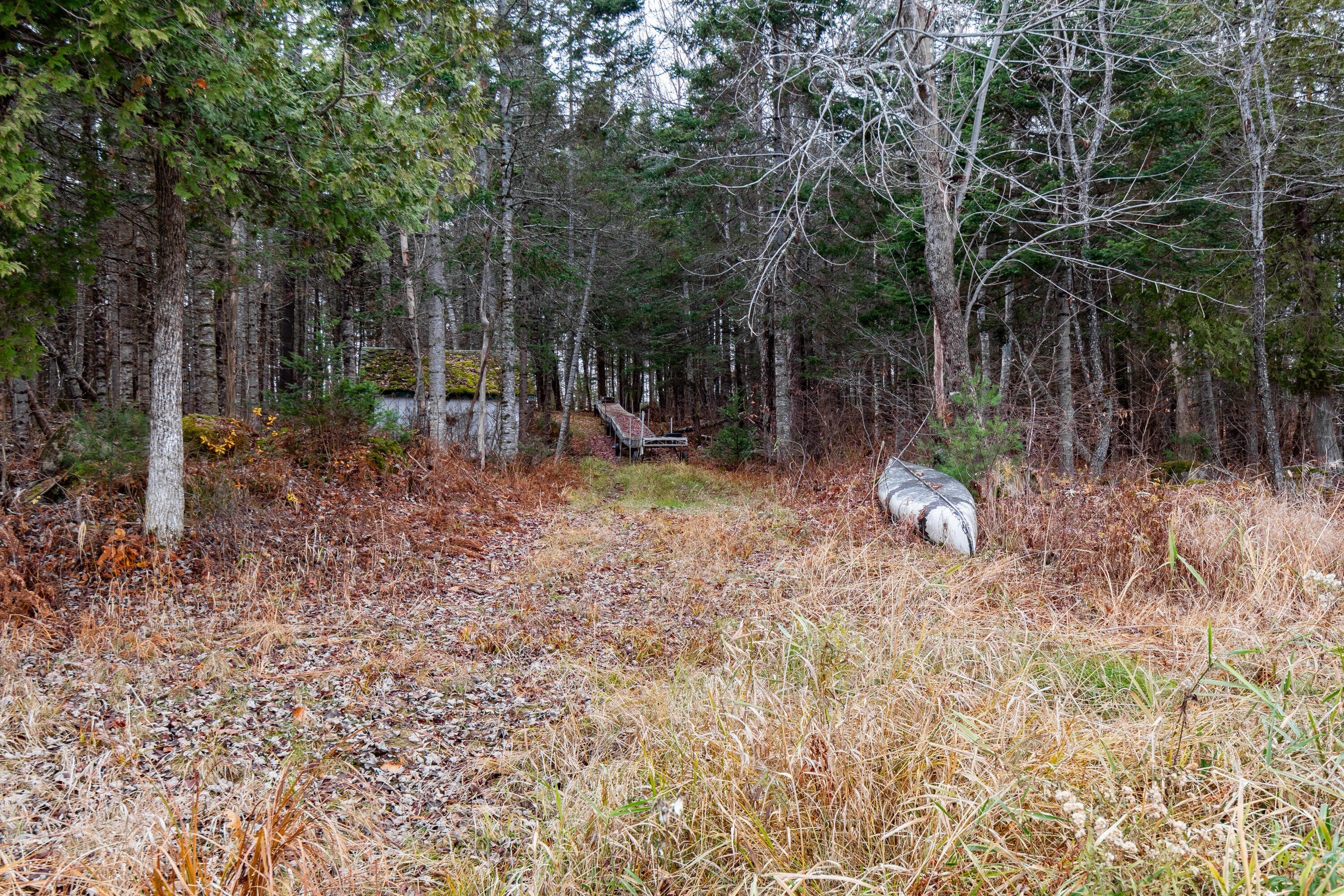 41 South Merrill Road Harmony, ME 04942 - Photo 71 of 113 20251114-81117