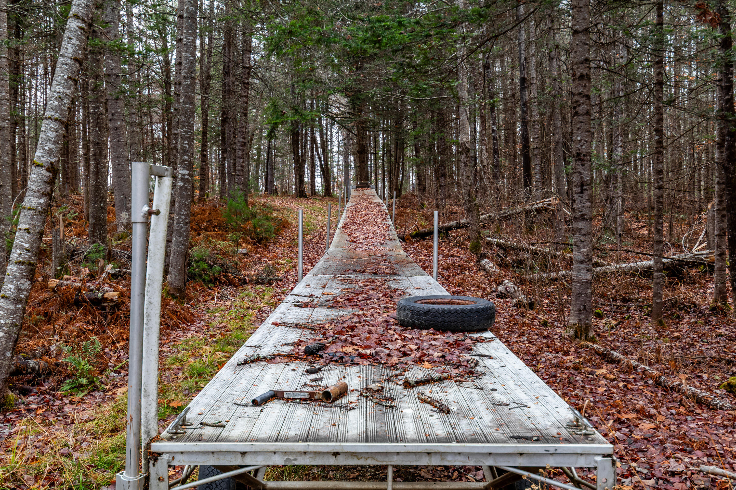 41 South Merrill Road Harmony, ME 04942 - Photo 72 of 113 20251114-81118