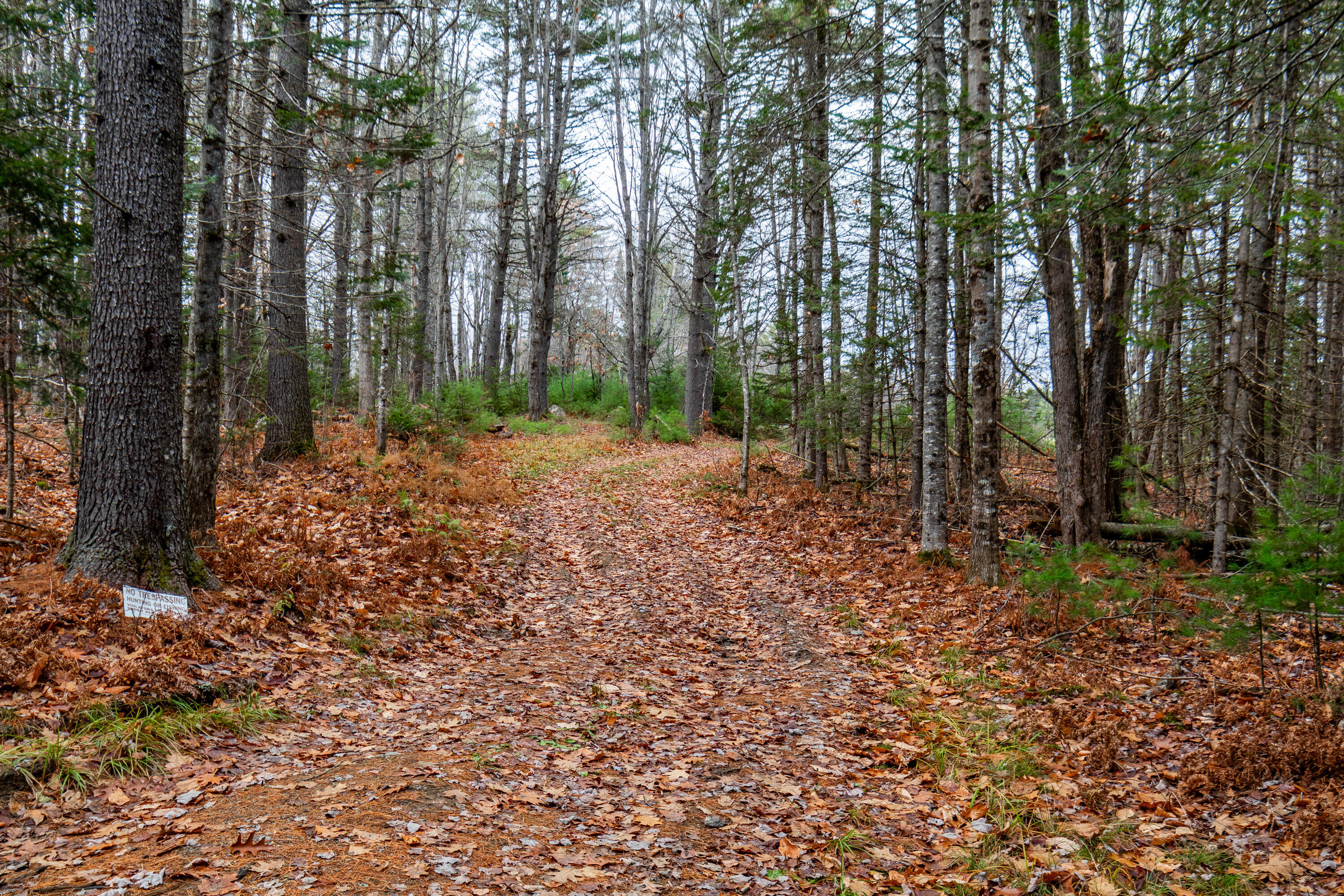 41 South Merrill Road Harmony, ME 04942 - Photo 73 of 113 20251114-81119