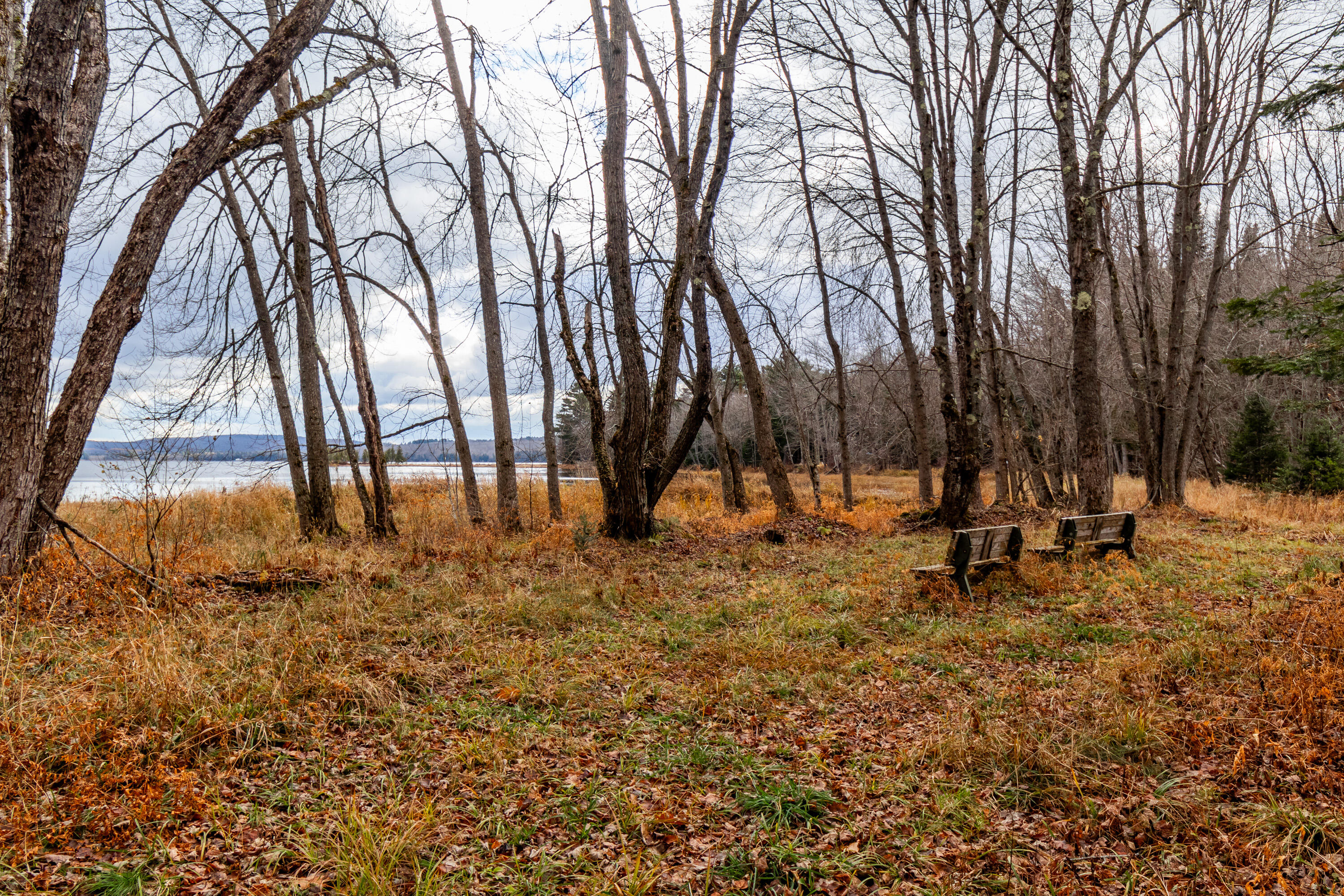 41 South Merrill Road Harmony, ME 04942 - Photo 75 of 113 20251114-81122