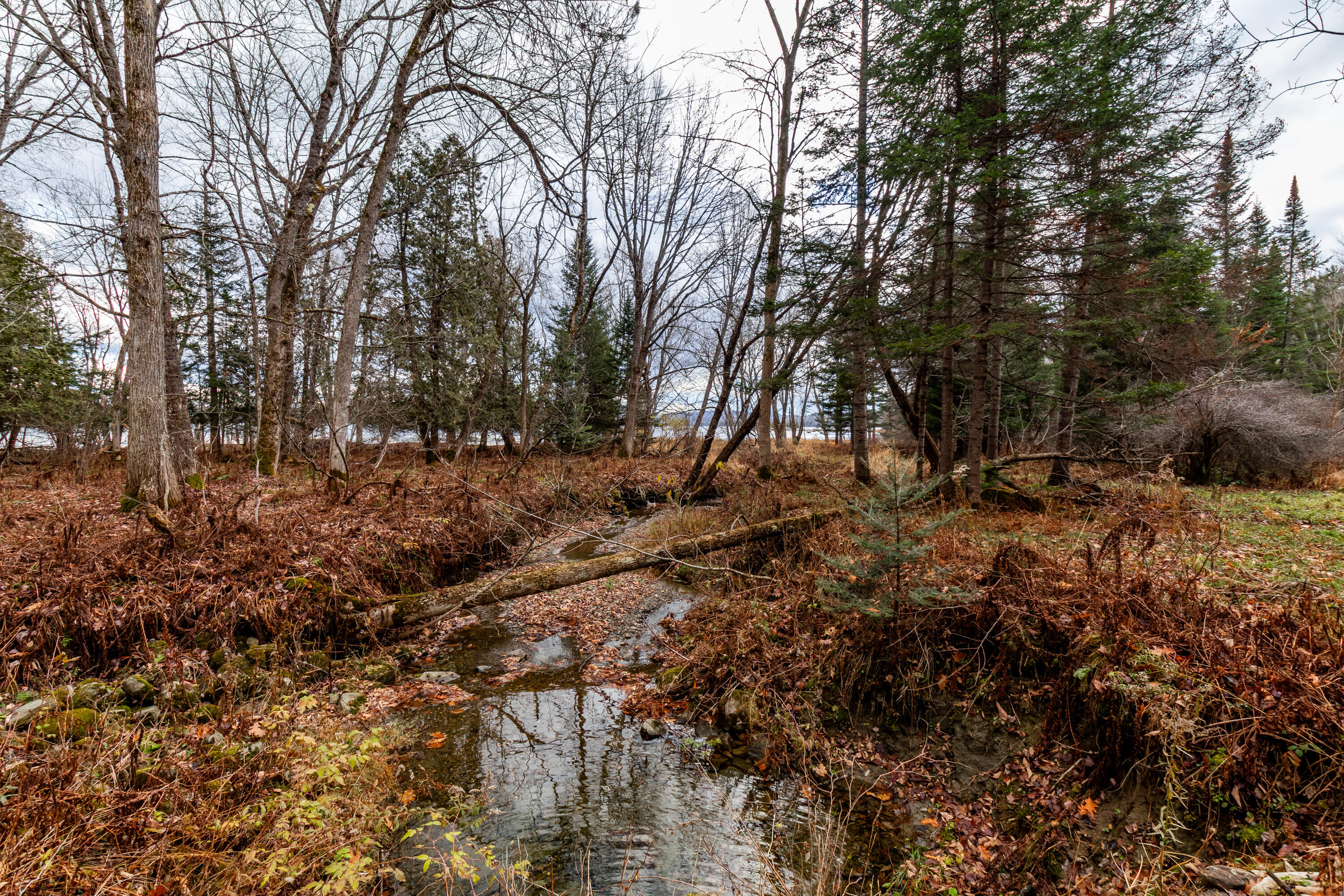 41 South Merrill Road Harmony, ME 04942 - Photo 77 of 113 20251114-81125