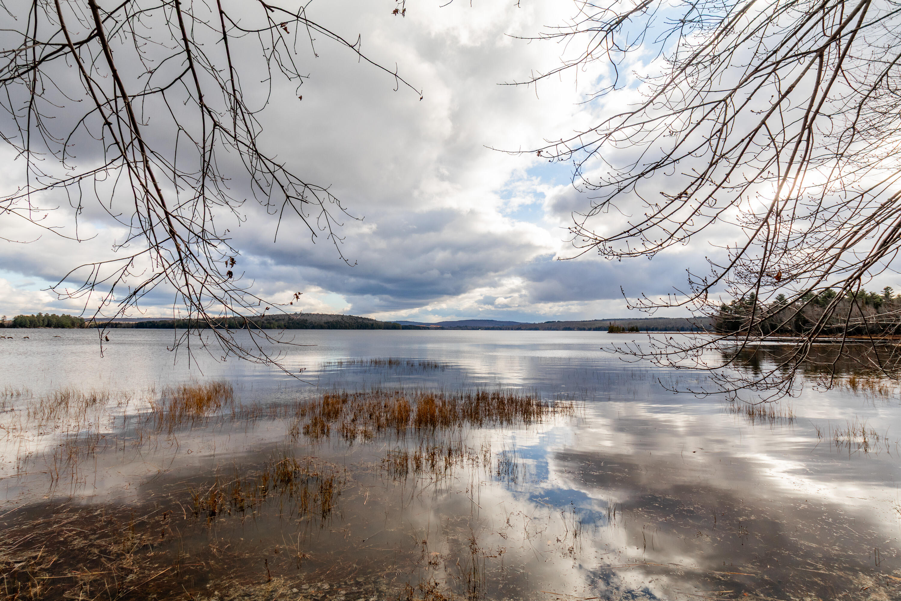 41 South Merrill Road Harmony, ME 04942 - Photo 78 of 113 20251114-81127
