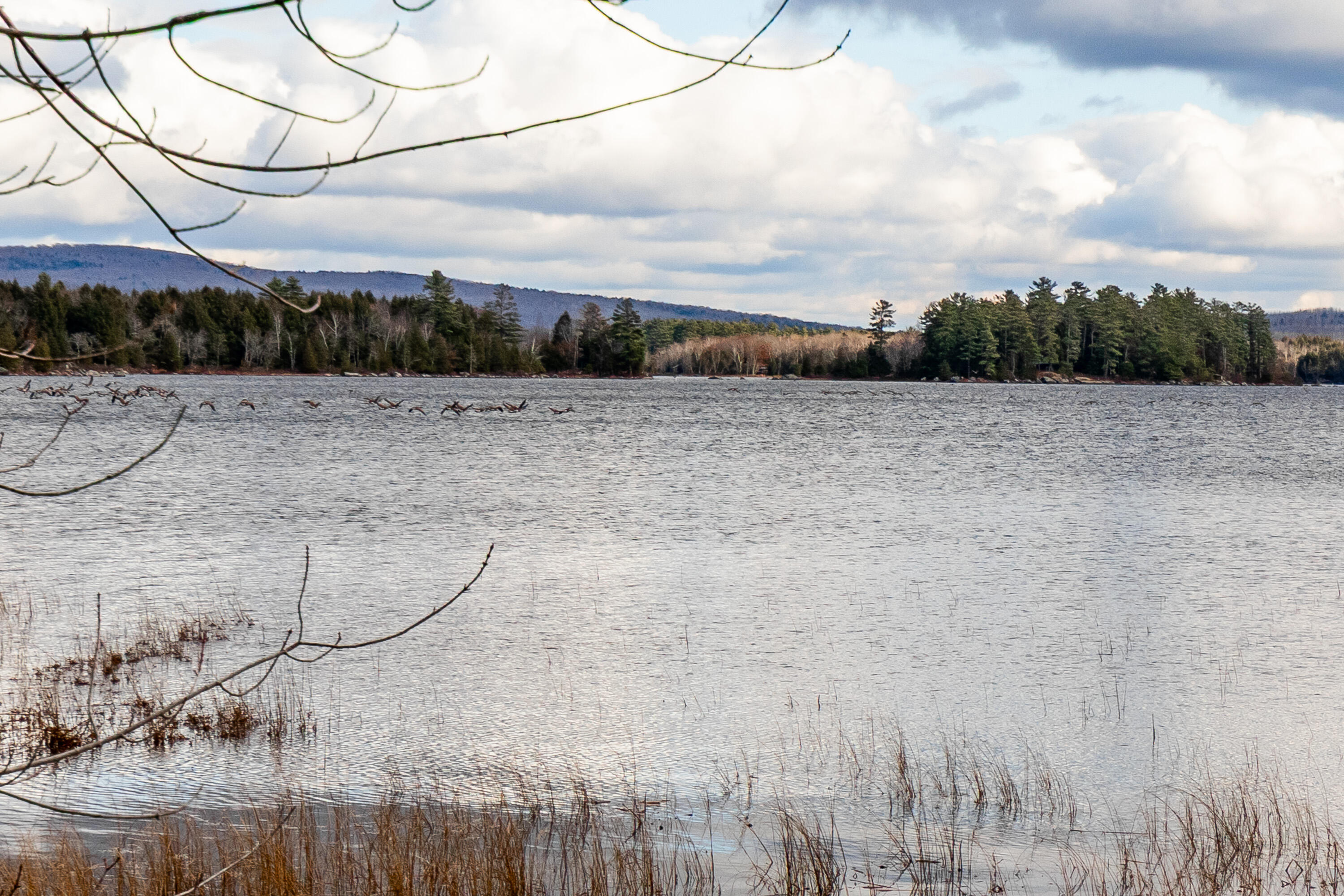 41 South Merrill Road Harmony, ME 04942 - Photo 79 of 113 20251114-81128