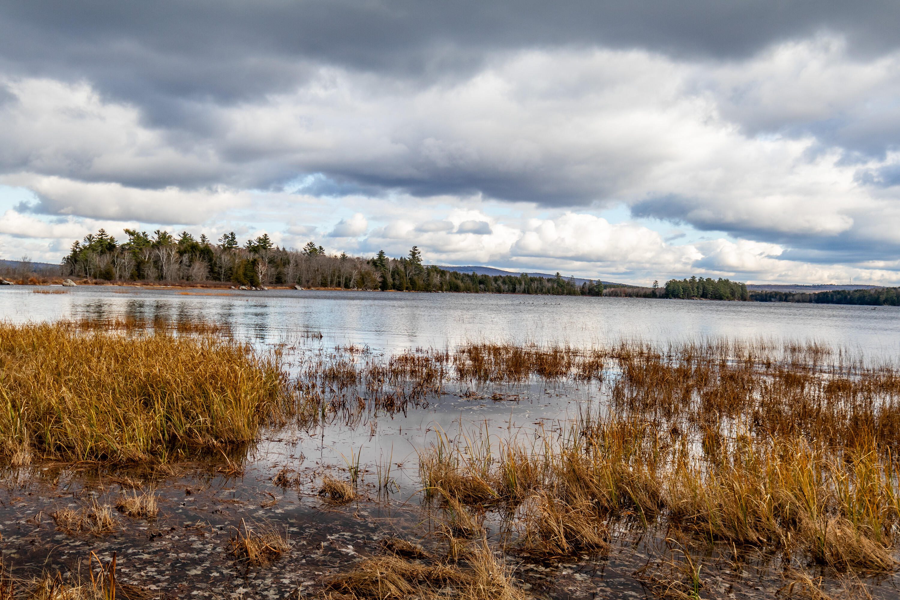 41 South Merrill Road Harmony, ME 04942 - Photo 81 of 113 20251114-81130