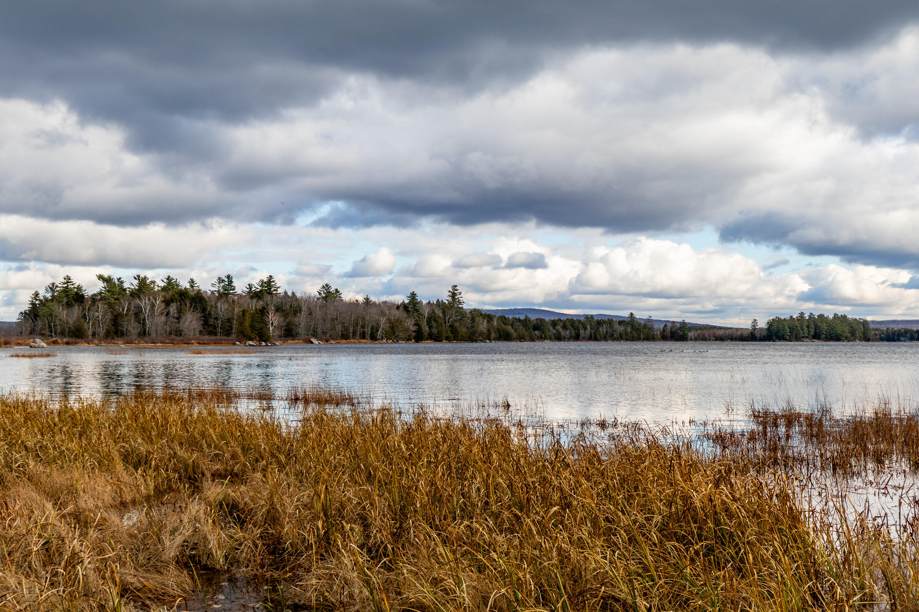 41 South Merrill Road Harmony, ME 04942 - Photo 83 of 113 20251114-81132