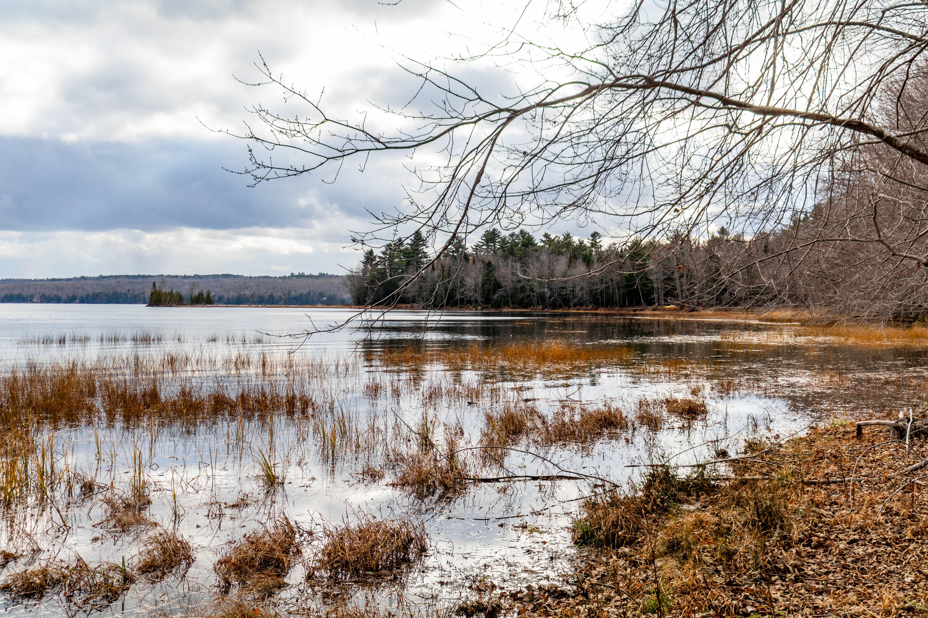 41 South Merrill Road Harmony, ME 04942 - Photo 85 of 113 20251114-81135