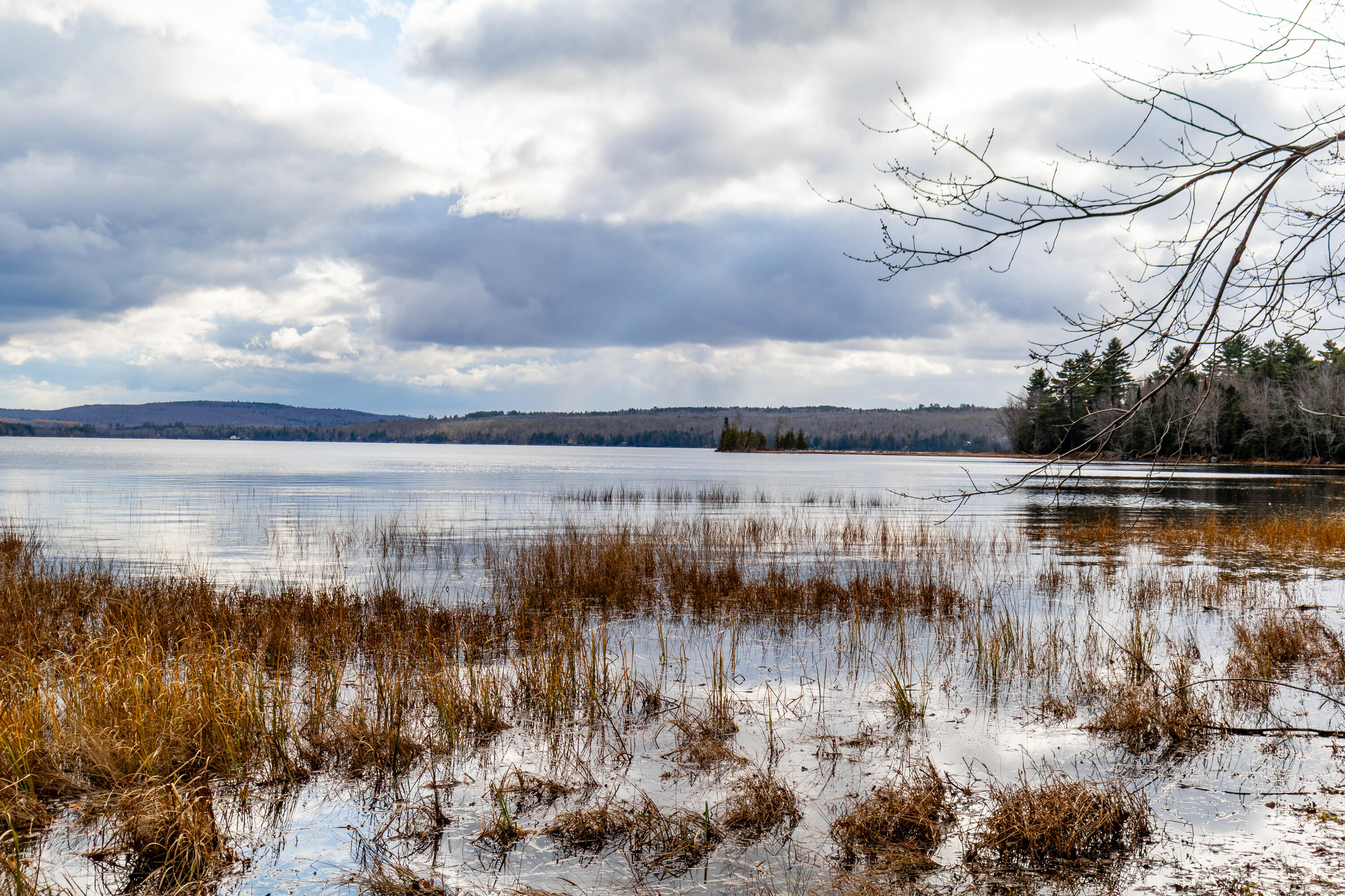 41 South Merrill Road Harmony, ME 04942 - Photo 86 of 113 20251114-81136