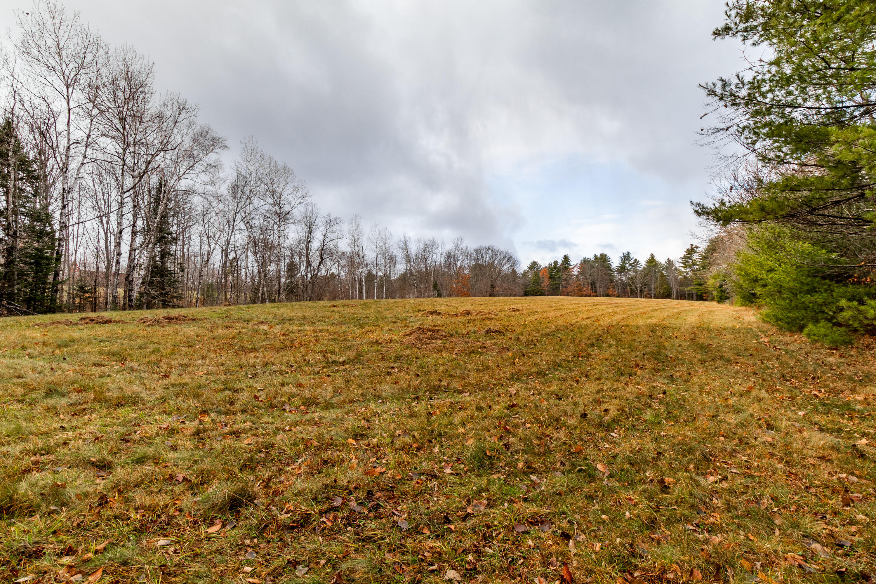 41 South Merrill Road Harmony, ME 04942 - Photo 89 of 113 20251114-81139