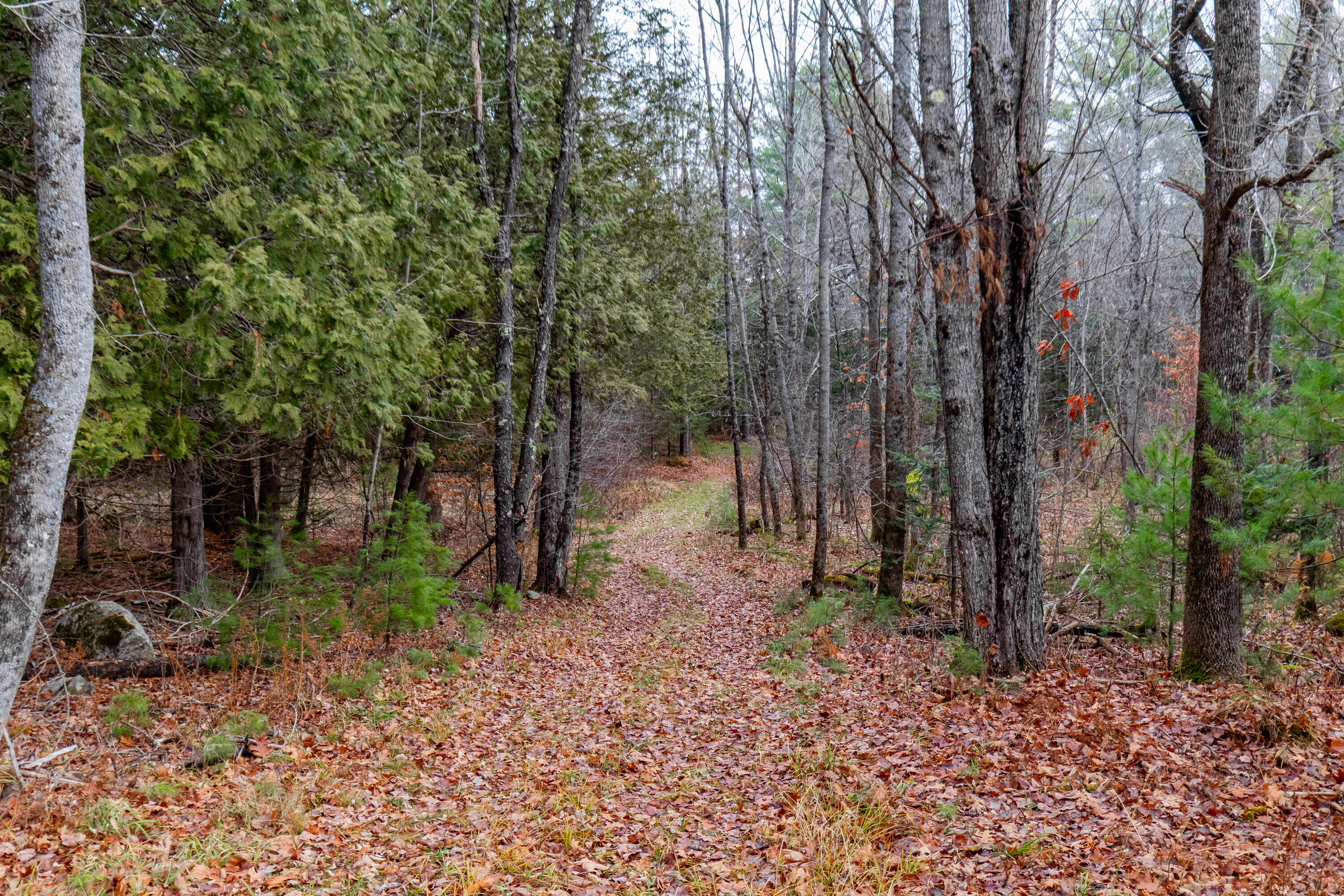 41 South Merrill Road Harmony, ME 04942 - Photo 90 of 113 20251114-81140