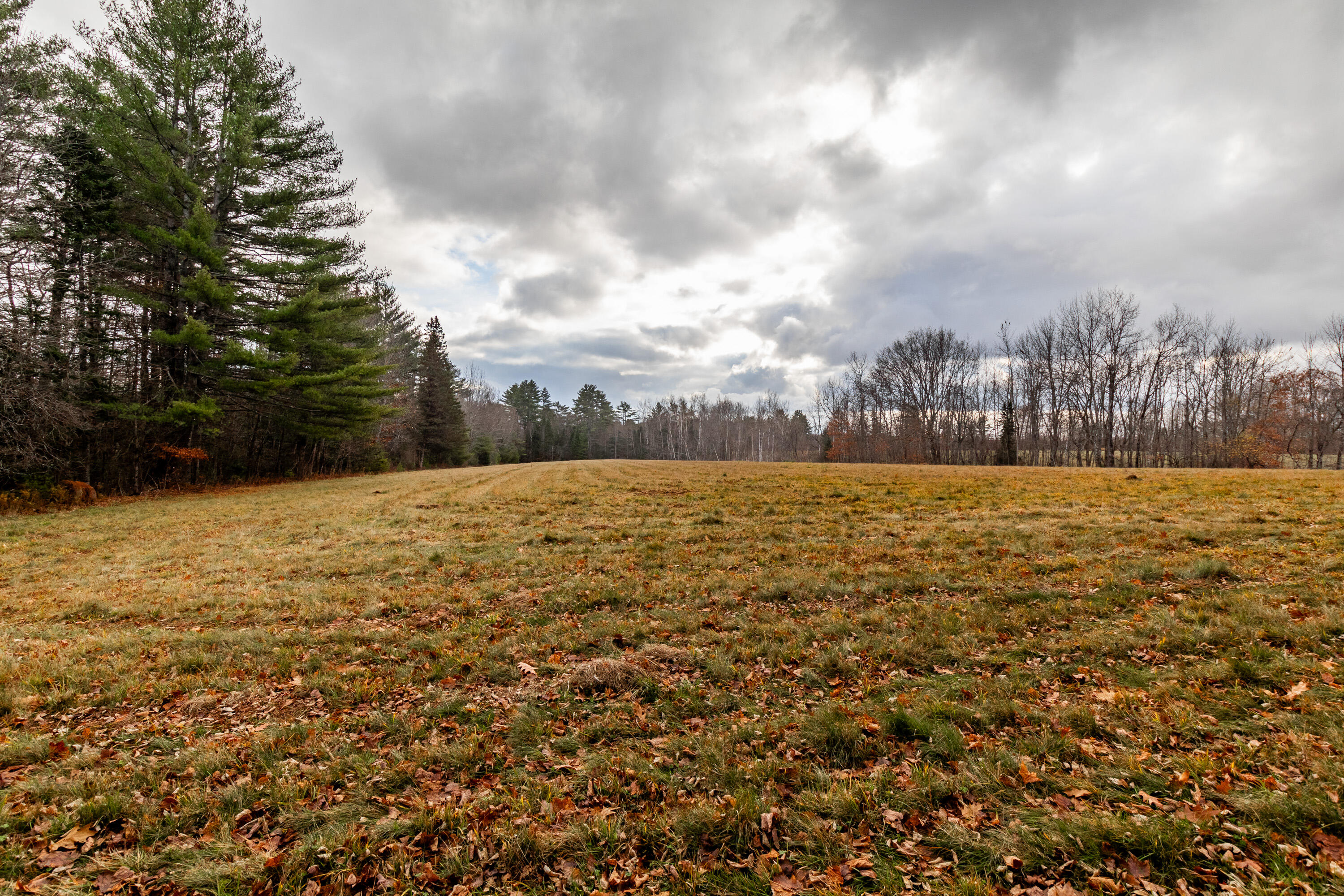 41 South Merrill Road Harmony, ME 04942 - Photo 91 of 113 20251114-81141
