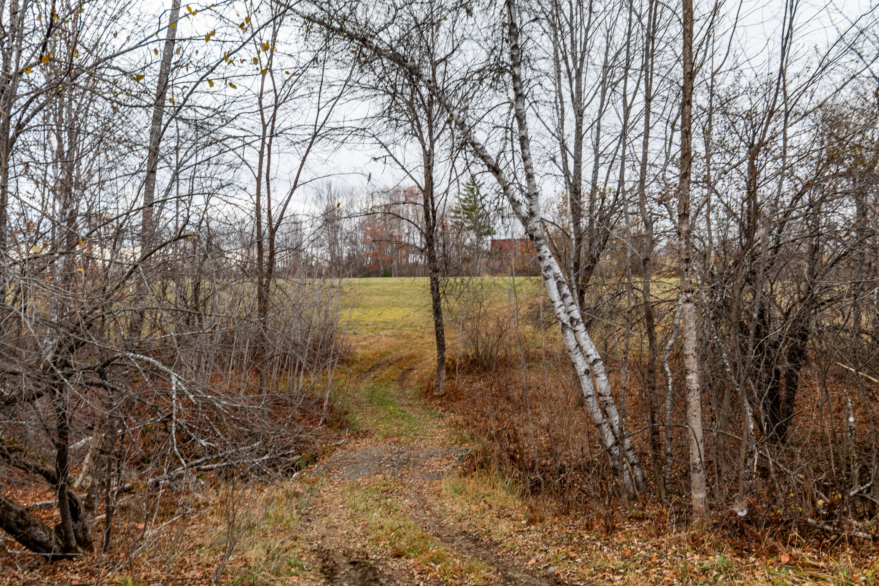 41 South Merrill Road Harmony, ME 04942 - Photo 92 of 113 20251114-81142