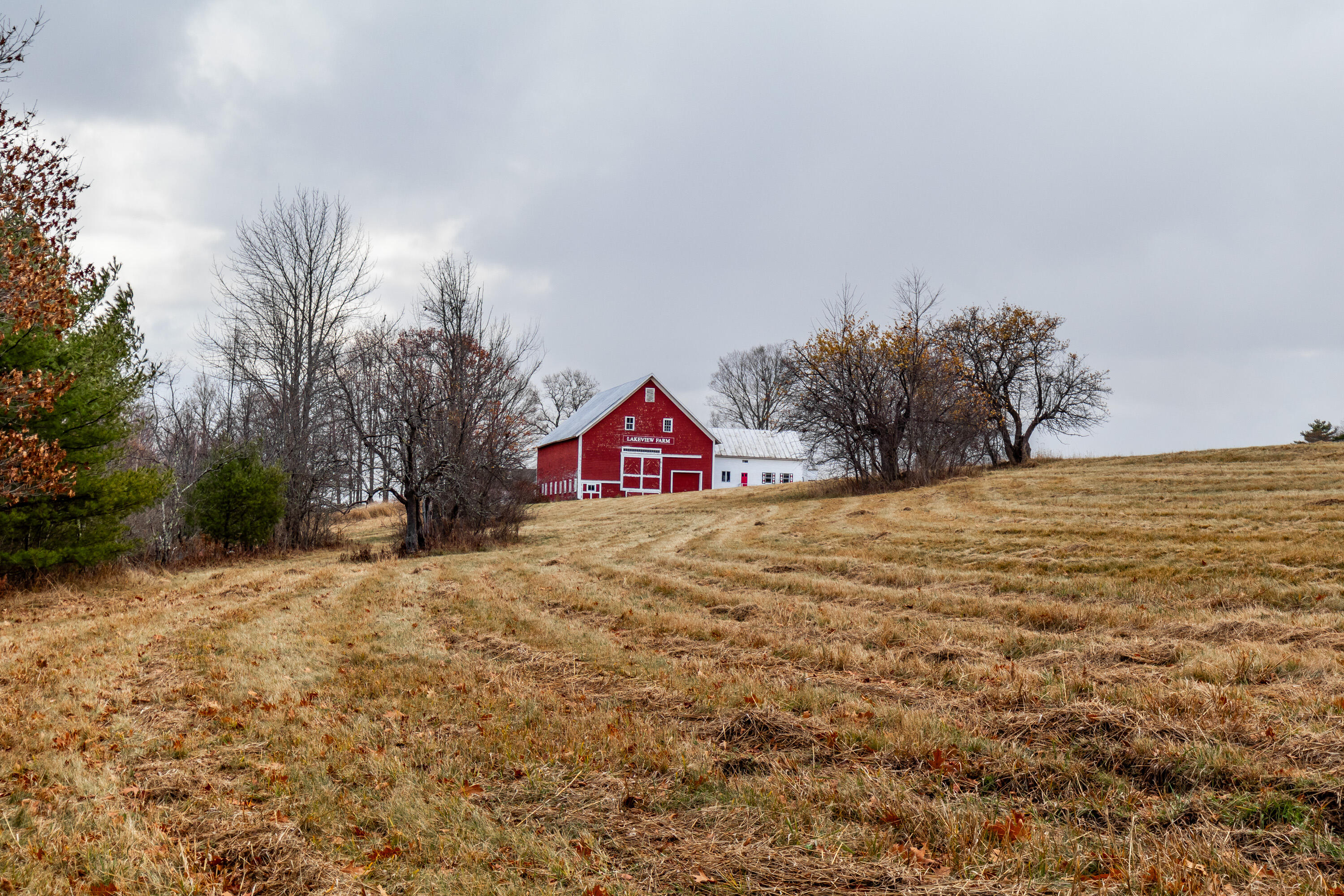 41 South Merrill Road Harmony, ME 04942 - Photo 95 of 113 20251114-81148