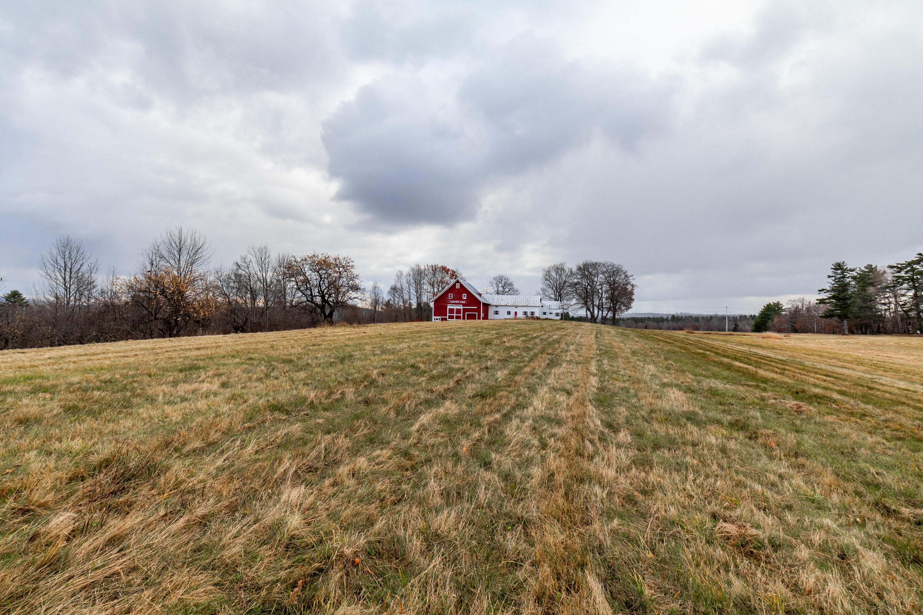 41 South Merrill Road Harmony, ME 04942 - Photo 96 of 113 20251114-81150