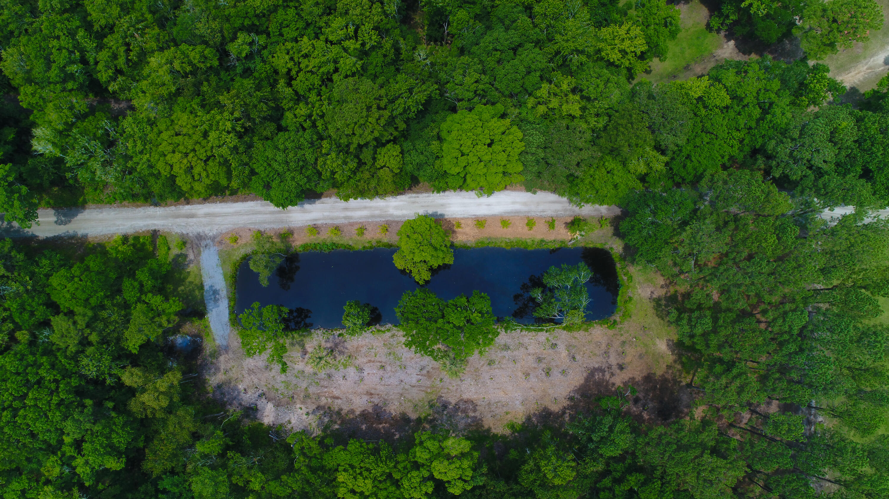 4160 River Road Johns Island, SC 29455 - Photo 12 of 37 5017-1244